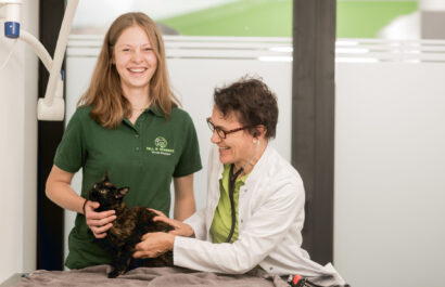 Frau Gürtler Untersucht Eine Dunkle Katze Während Eine Angestellte Assistiert