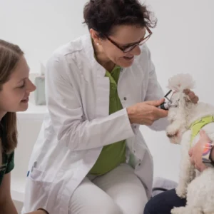 Tierärztin Anette Gürtler