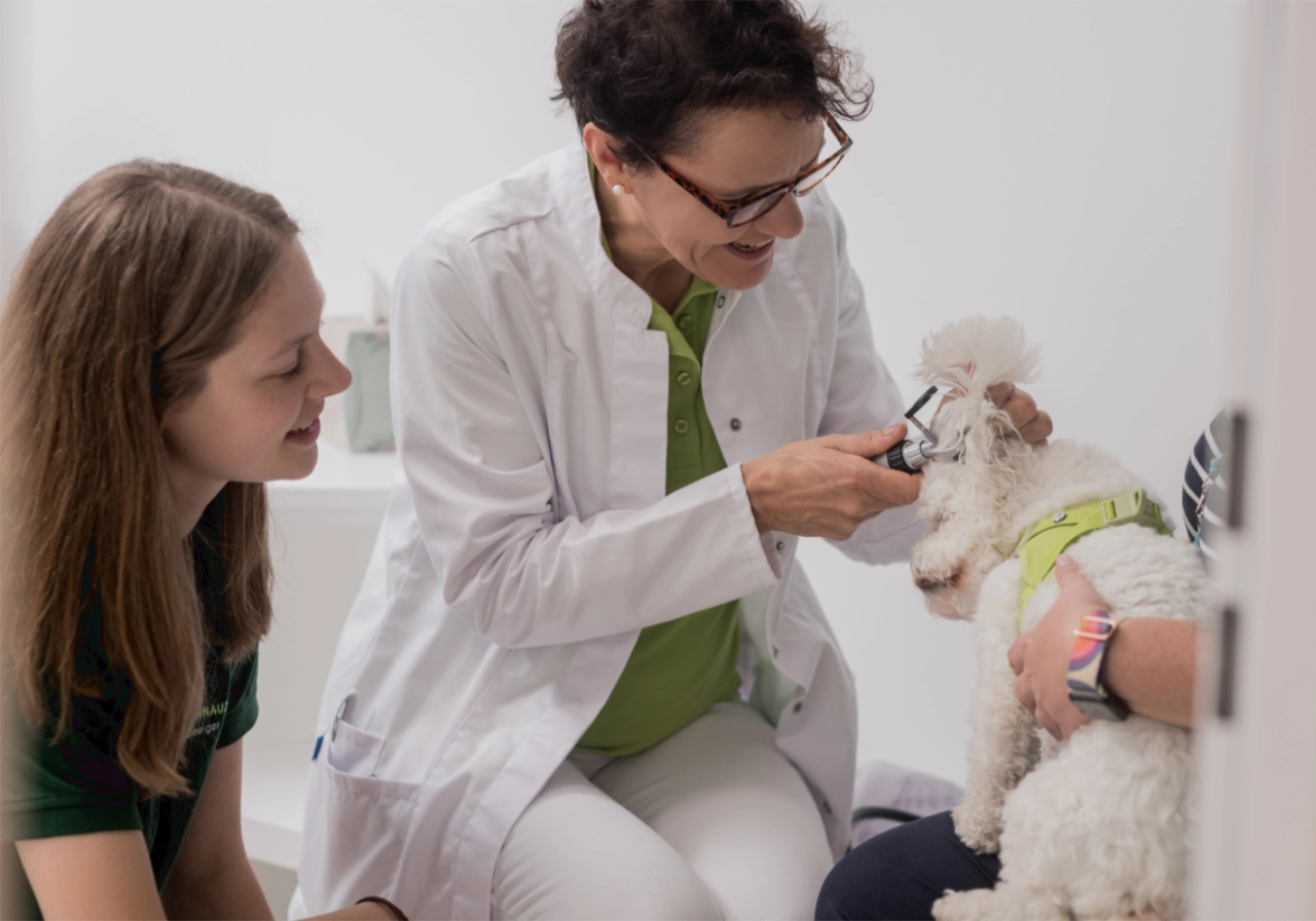 Tierärztin Anette Gürtler